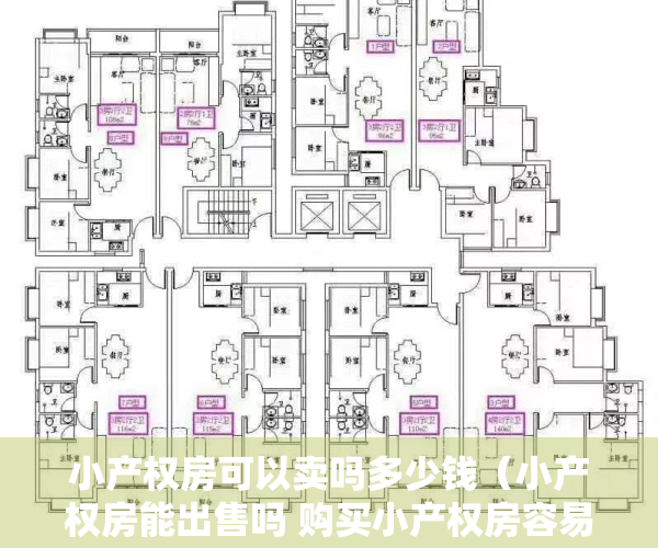 小产权房可以卖吗多少钱（小产权房能出售吗 购买小产权房容易遇到哪些纠纷？）