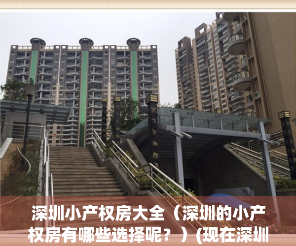 深圳小产权房大全（深圳的小产权房有哪些选择呢？）(现在深圳小产权房的价格是多少)