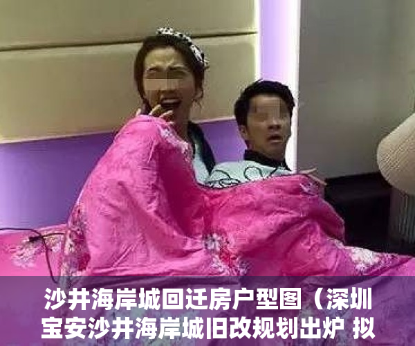 沙井海岸城回迁房户型图（深圳宝安沙井海岸城旧改规划出炉 拟拆除范围用地面积6845万平米）