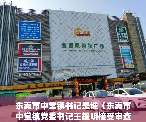 东莞市中堂镇书记是谁（东莞市中堂镇党委书记王耀明接受审查调查）(东莞市中堂镇党委名单)