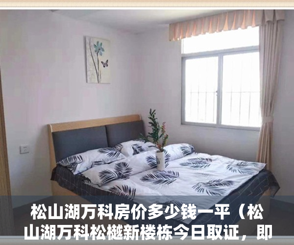 松山湖万科房价多少钱一平（松山湖万科松樾新楼栋今日取证，即将开盘！）