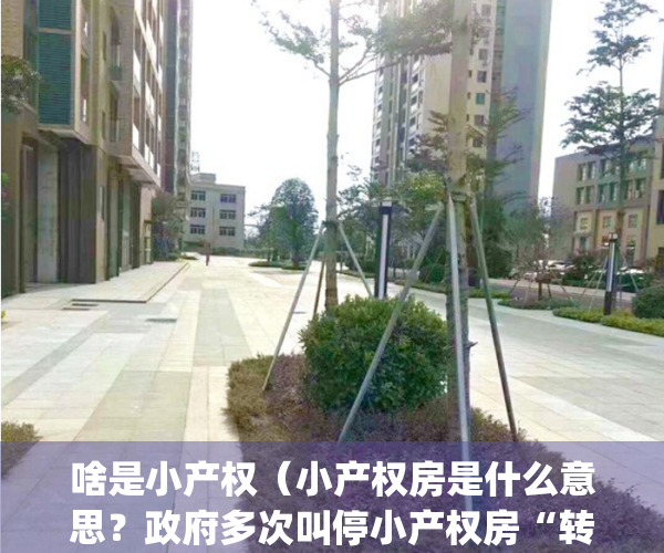 啥是小产权（小产权房是什么意思？政府多次叫停小产权房“转正”）(请问小产权是什么意思)