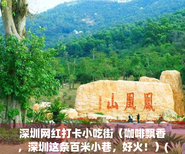 深圳网红打卡小吃街（咖啡飘香，深圳这条百米小巷，好火！）(深圳人气最高的小吃街)