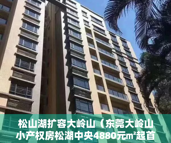 松山湖扩容大岭山（东莞大岭山小产权房松湖中央4880元㎡起首付四成分期五年）
