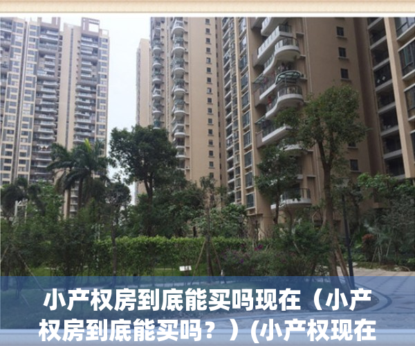 小产权房到底能买吗现在（小产权房到底能买吗？）(小产权现在可以买吗)