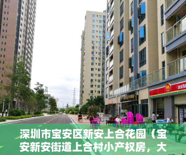 深圳市宝安区新安上合花园（宝安新安街道上合村小产权房，大三房二厅）