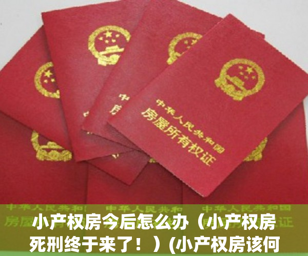 小产权房今后怎么办（小产权房死刑终于来了！）(小产权房该何去何从)