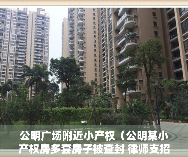 公明广场附近小产权（公明某小产权房多套房子被查封 律师支招维护业主权益）