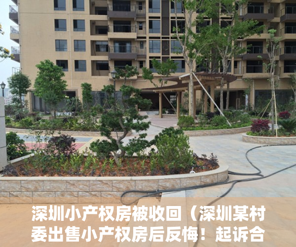 深圳小产权房被收回（深圳某村委出售小产权房后反悔！起诉合同无效）