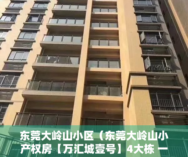 东莞大岭山小区（东莞大岭山小产权房【万汇城壹号】4大栋 一梯2户 均价3680元）