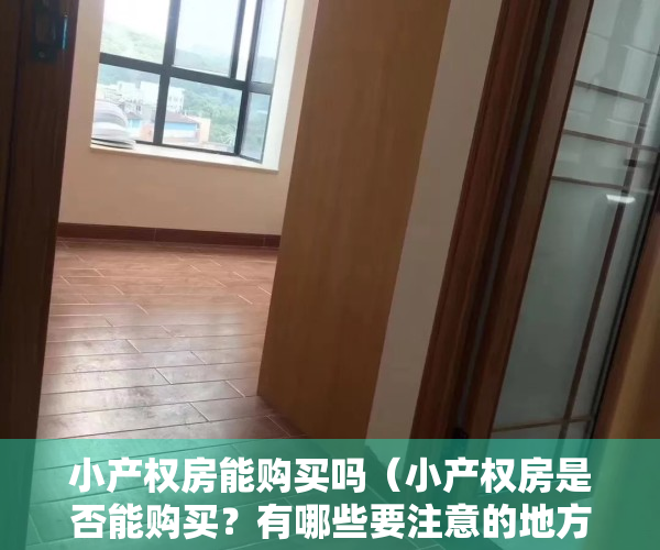 小产权房能购买吗（小产权房是否能购买？有哪些要注意的地方？看完或知）