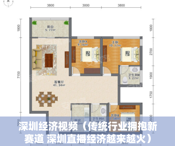 深圳经济视频（传统行业拥抱新赛道 深圳直播经济越来越火）