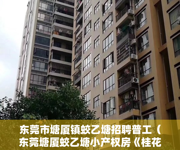 东莞市塘厦镇蛟乙塘招聘普工（东莞塘厦蛟乙塘小产权房《桂花雅苑》，总价138万套起，无条件分期2年免利息，离观澜桂花10分钟）