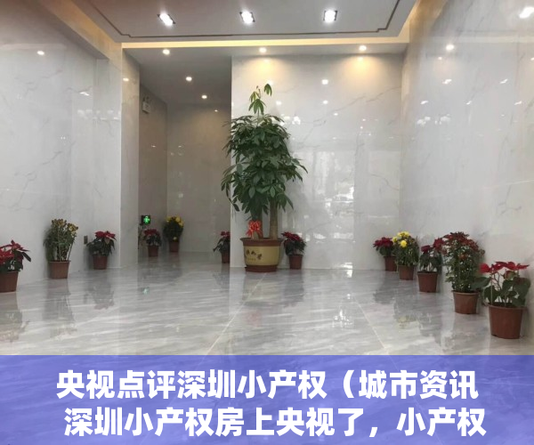 央视点评深圳小产权（城市资讯  深圳小产权房上央视了，小产权房会凉凉吗？该如何解决呢？）