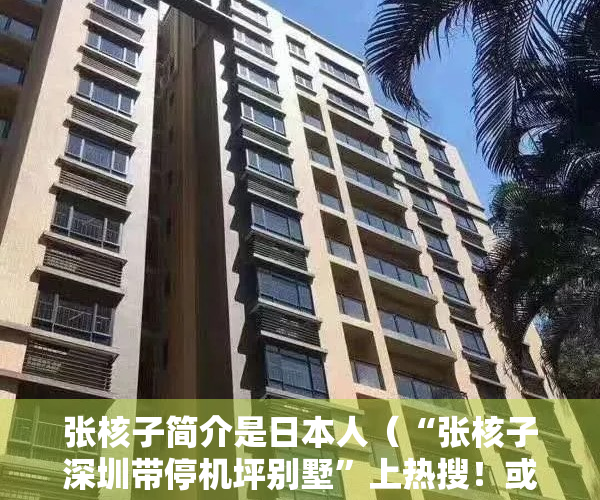张核子简介是日本人（“张核子深圳带停机坪别墅”上热搜！或为这个小区！）
