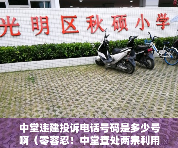 中堂违建投诉电话号码是多少号啊（零容忍！中堂查处两宗利用假期违建抢建行为）