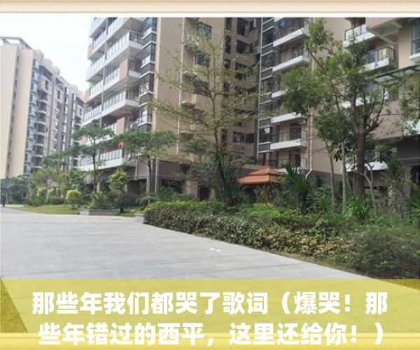 那些年我们都哭了歌词（爆哭！那些年错过的西平，这里还给你！）(那些年我们都在是什么歌)