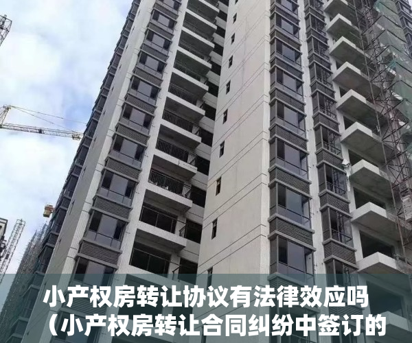 小产权房转让协议有法律效应吗（小产权房转让合同纠纷中签订的房屋买卖协议是否有效）