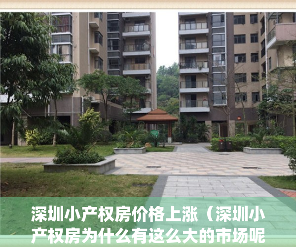 深圳小产权房价格上涨（深圳小产权房为什么有这么大的市场呢？）(深圳小产权房价格涨幅)