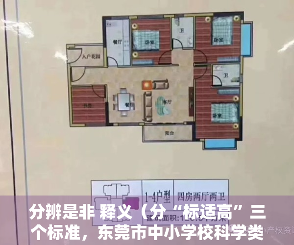 分辨是非 释义（分“标适高”三个标准，东莞市中小学校科学类探究实验室建设指引发布）