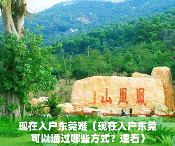 现在入户东莞难（现在入户东莞可以通过哪些方式？速看）