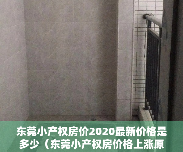 东莞小产权房价2020最新价格是多少（东莞小产权房价格上涨原因是什么？）