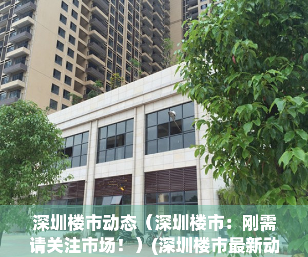 深圳楼市动态（深圳楼市：刚需请关注市场！）(深圳楼市最新动态)