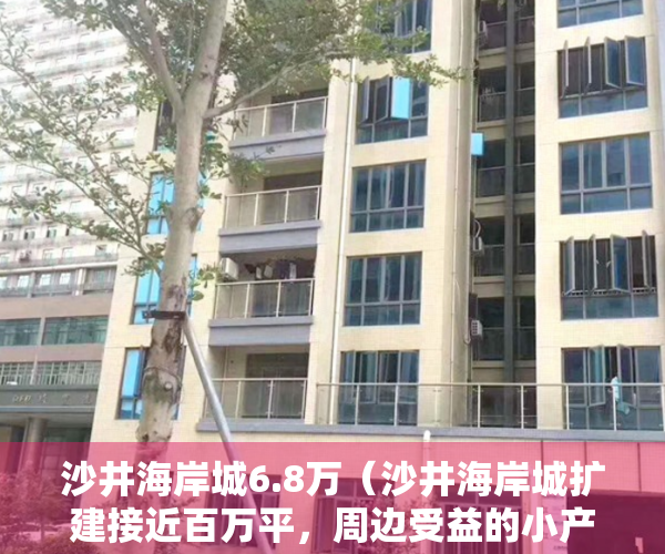沙井海岸城6.8万（沙井海岸城扩建接近百万平，周边受益的小产权房一览 。）