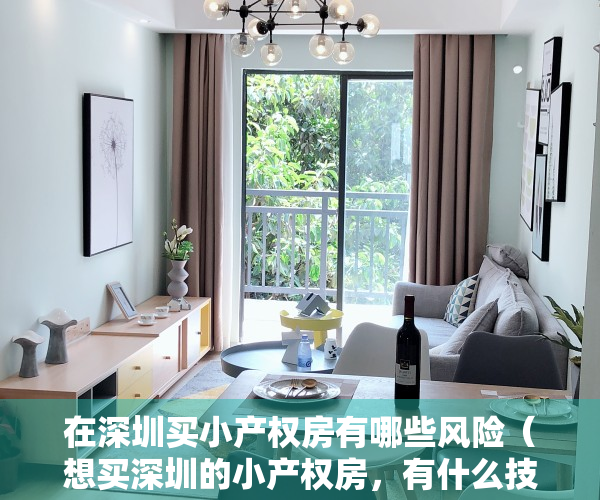 在深圳买小产权房有哪些风险（想买深圳的小产权房，有什么技巧可以分析一下吗？）