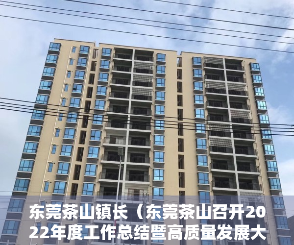 东莞茶山镇长（东莞茶山召开2022年度工作总结暨高质量发展大会）
