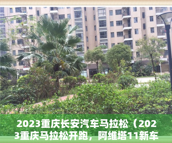 2023重庆长安汽车马拉松（2023重庆马拉松开跑，阿维塔11新车首秀，长安多款车型亮相）