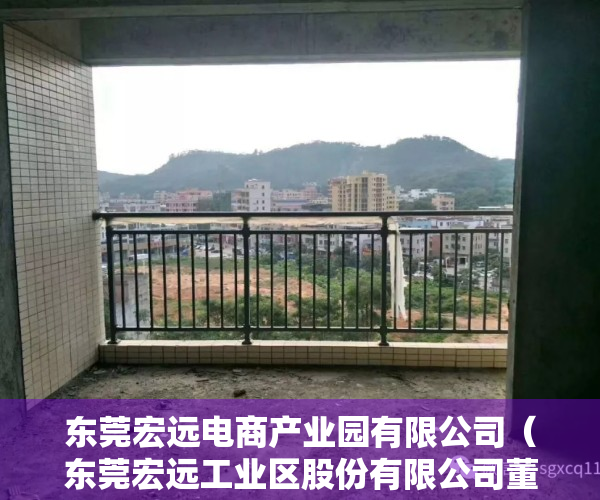 东莞宏远电商产业园有限公司（东莞宏远工业区股份有限公司董事会决议公告）