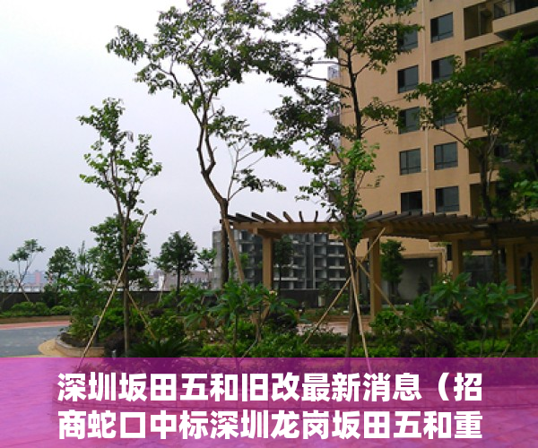 深圳坂田五和旧改最新消息（招商蛇口中标深圳龙岗坂田五和重点更新单元前期服务商）
