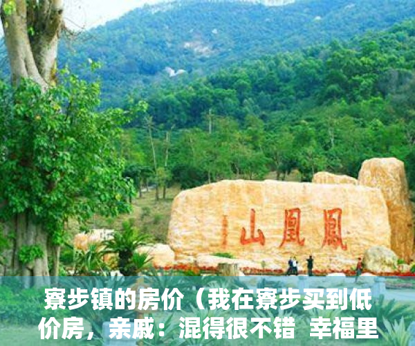 寮步镇的房价（我在寮步买到低价房，亲戚：混得很不错  幸福里有好房）