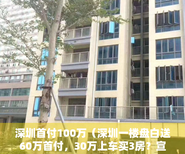 深圳首付100万（深圳一楼盘白送60万首付，30万上车买3房？宣传不到一天，就被住建局查处了……）