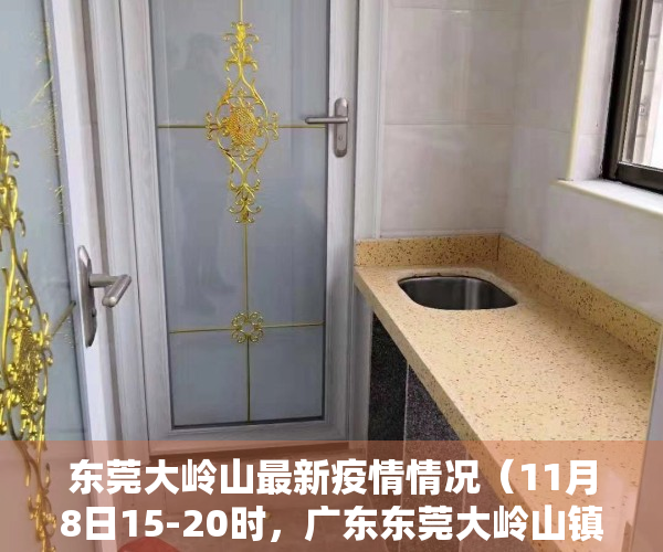 东莞大岭山最新疫情情况（11月8日15-20时，广东东莞大岭山镇新增本土“1+6”）