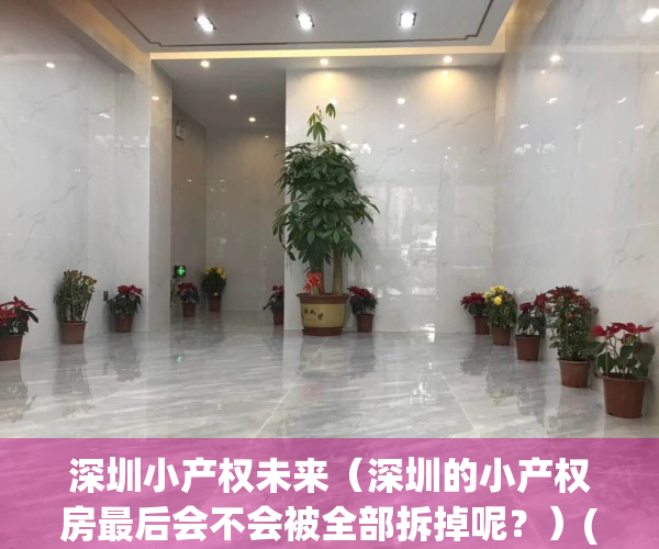 深圳小产权未来（深圳的小产权房最后会不会被全部拆掉呢？）(深圳小产权房最后会如何处理)