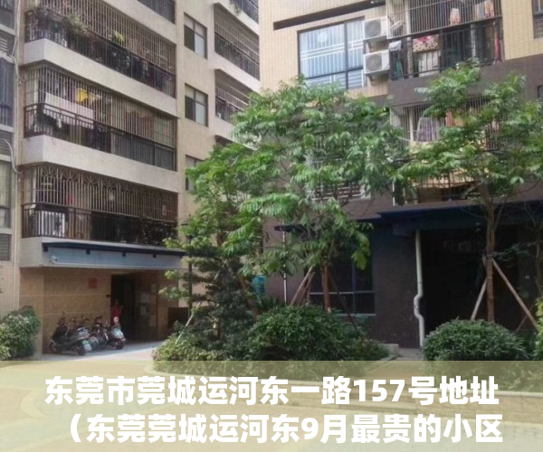 东莞市莞城运河东一路157号地址（东莞莞城运河东9月最贵的小区均价超过4万平，均价15106元平）