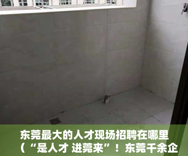 东莞最大的人才现场招聘在哪里（“是人才 进莞来”！东莞千余企业北京招才，收6万余份简历）