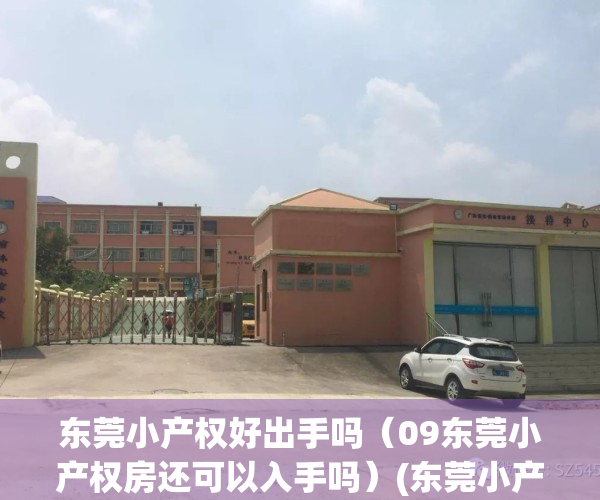 东莞小产权好出手吗（09东莞小产权房还可以入手吗）(东莞小产权房值得买吗)