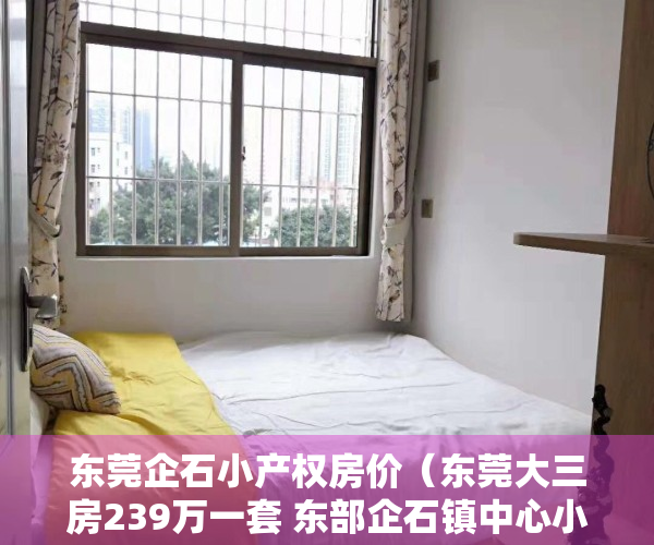 东莞企石小产权房价（东莞大三房239万一套 东部企石镇中心小产权房）