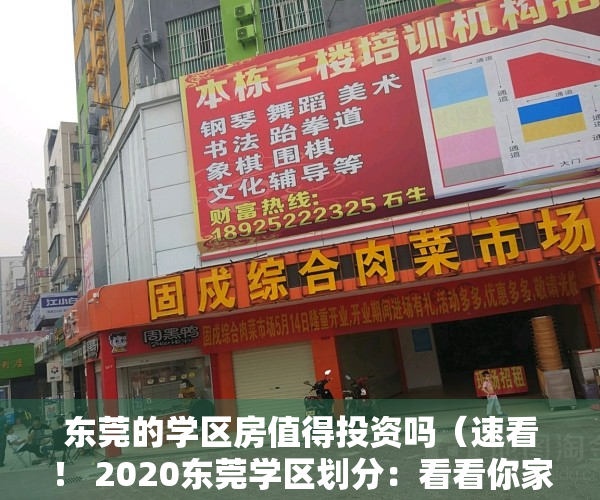 东莞的学区房值得投资吗（速看！ 2020东莞学区划分：看看你家属于哪个学区？）
