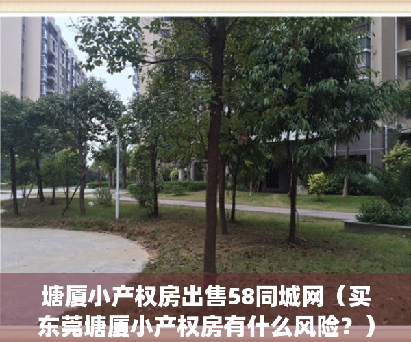 塘厦小产权房出售58同城网（买东莞塘厦小产权房有什么风险？）(东莞塘厦小产权房价网)