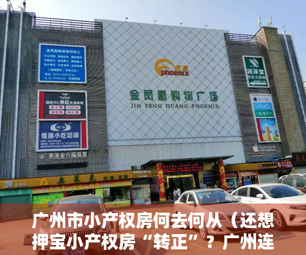 广州市小产权房何去何从（还想押宝小产权房“转正”？广州连拆两违建无补偿）