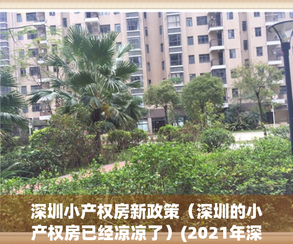 深圳小产权房新政策（深圳的小产权房已经凉凉了）(2021年深圳小产权房政策解读)