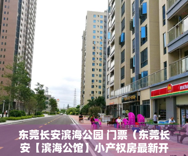 东莞长安滨海公园 门票（东莞长安【滨海公馆】小产权房最新开盘出售 2大栋带花园和停车场）