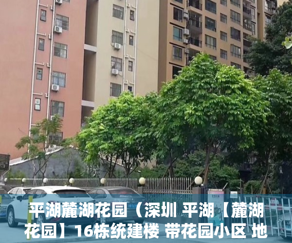 平湖麓湖花园（深圳 平湖【麓湖花园】16栋统建楼 带花园小区 地下车库 天然气 精装3房首付40万起 分期10月）