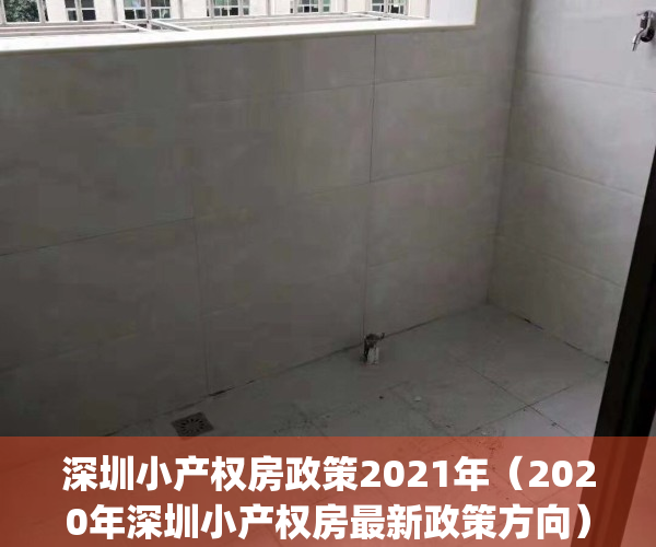 深圳小产权房政策2021年（2020年深圳小产权房最新政策方向）(深圳关于小产权房新政策)