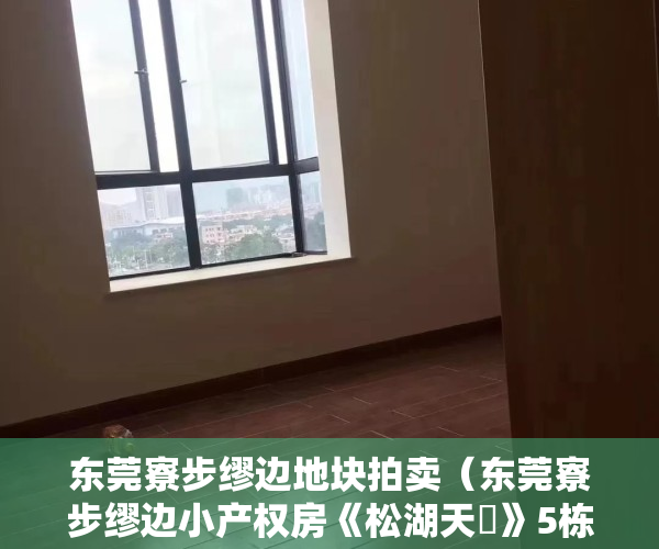 东莞寮步缪边地块拍卖（东莞寮步缪边小产权房《松湖天玥》5栋花园小区复式房，颁发绿本）