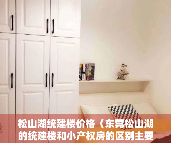 松山湖统建楼价格（东莞松山湖的统建楼和小产权房的区别主要是什么）